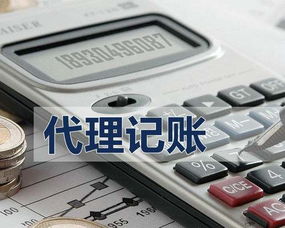 濟寧金鄉(xiāng)代理記賬中介機構服務流程詳解